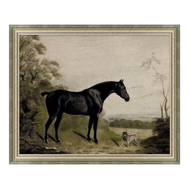Gallant Horse 1