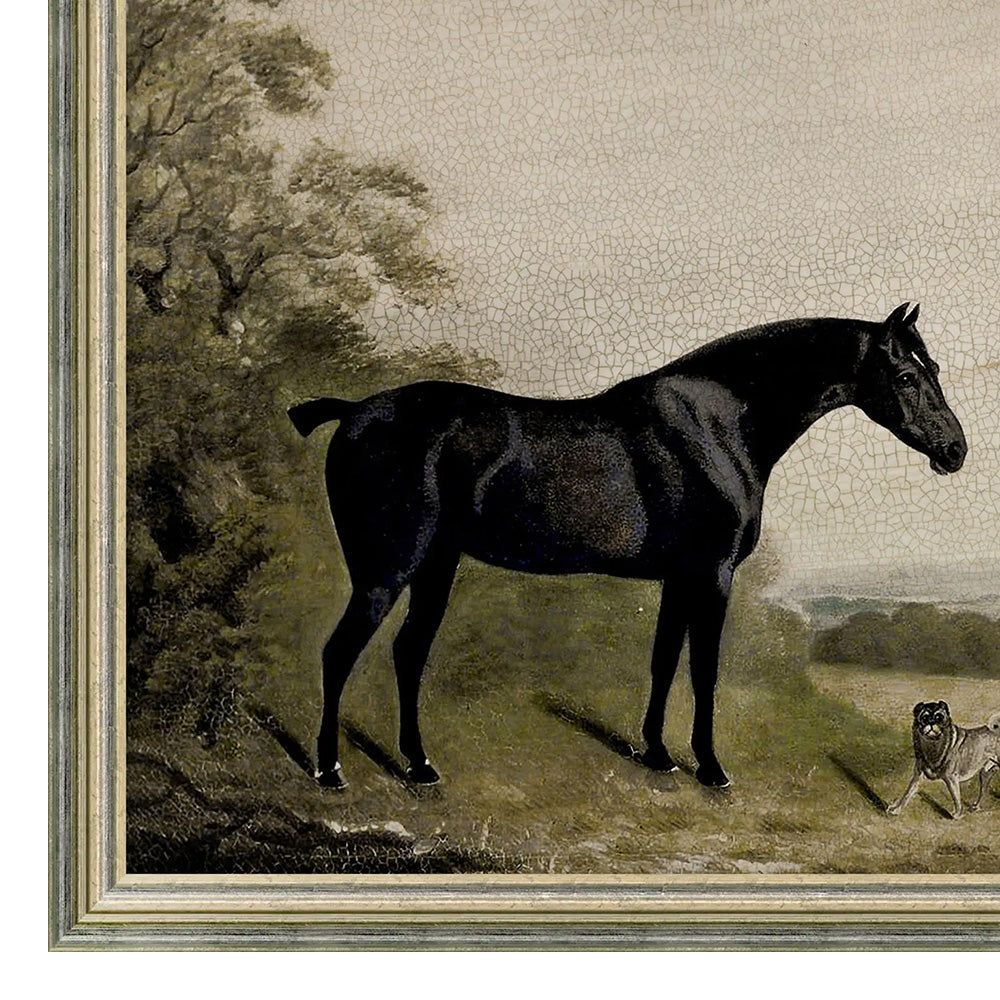 Gallant Horse 1