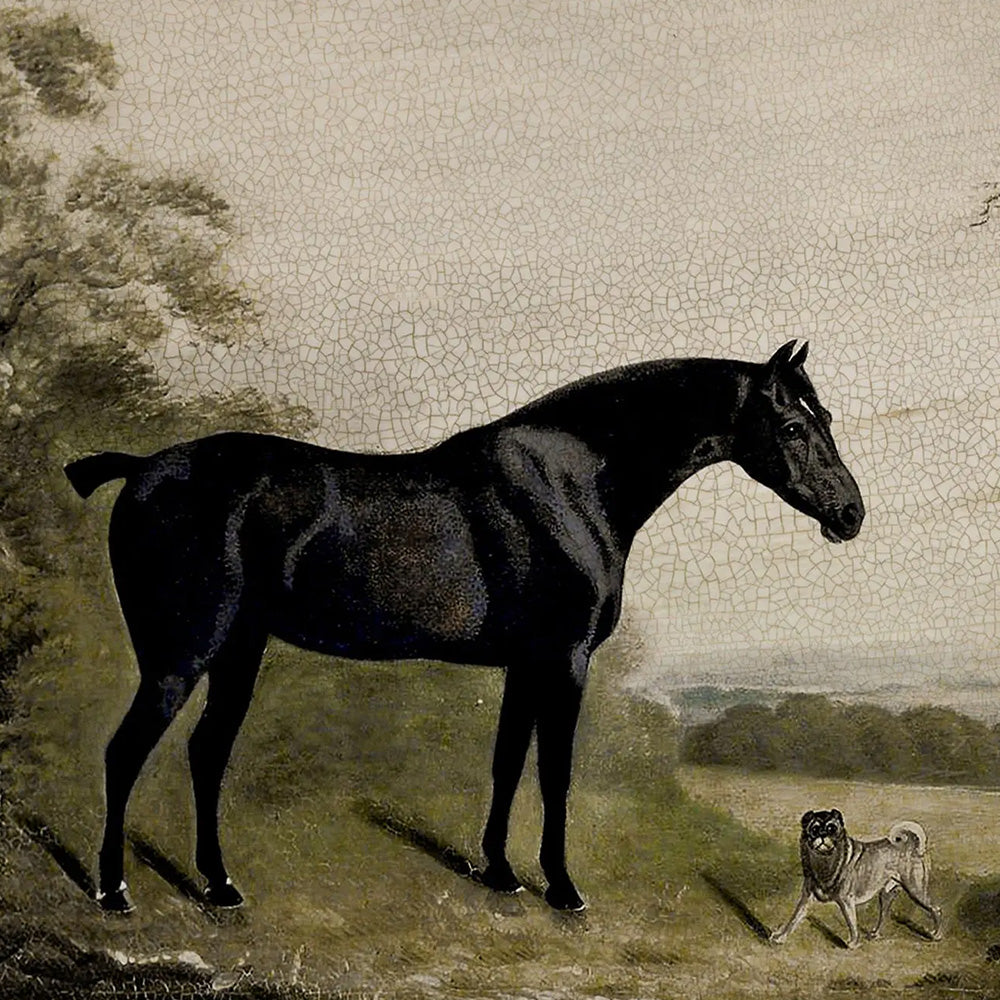 Gallant Horse 1