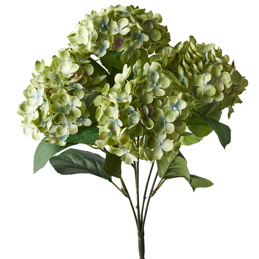 Hydrangea Bunch Green