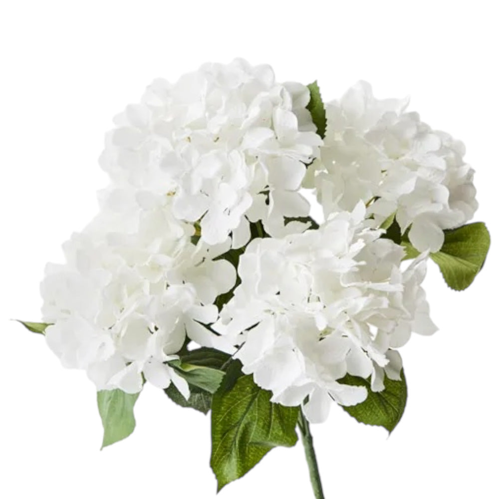 Hydrangea Bunch White