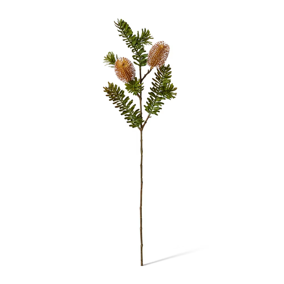 Banksia Spray