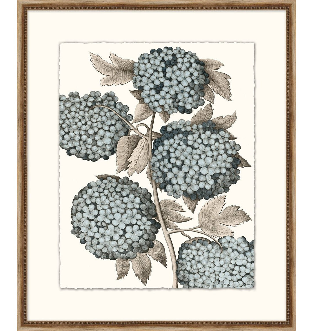 Pale Blue Botanical 2