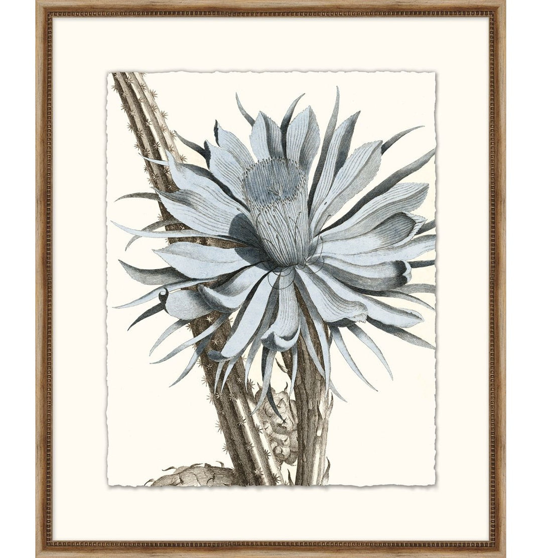 Pale Blue Botanical 4