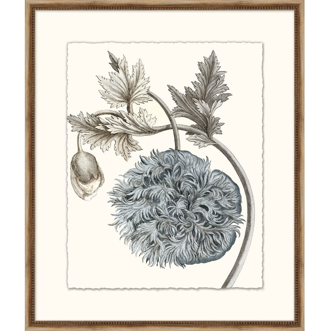 Pale Blue Botanical 5