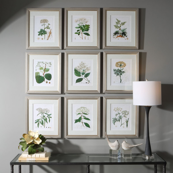 Antique Botanicals Prints Set of 9