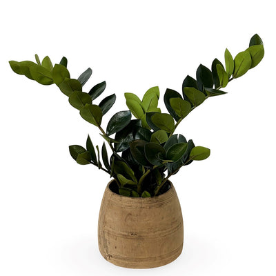 Faux Zanzibar Gem plant displayed in a rustic wooden vessel