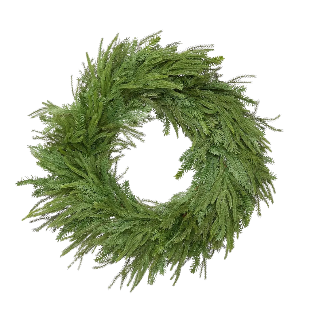 Green wreath on a white background