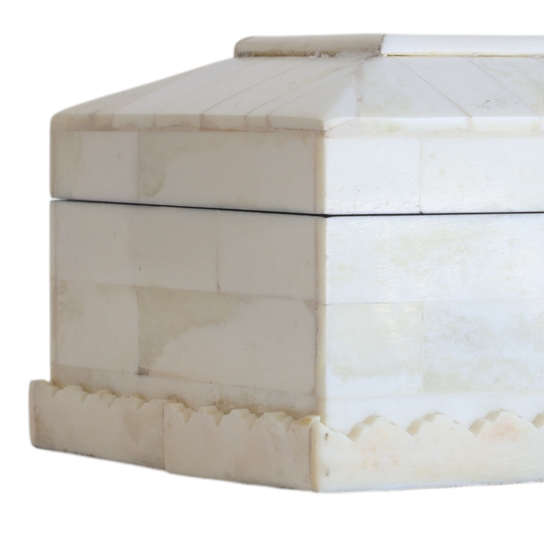 Decorative Bone Pencil Box
