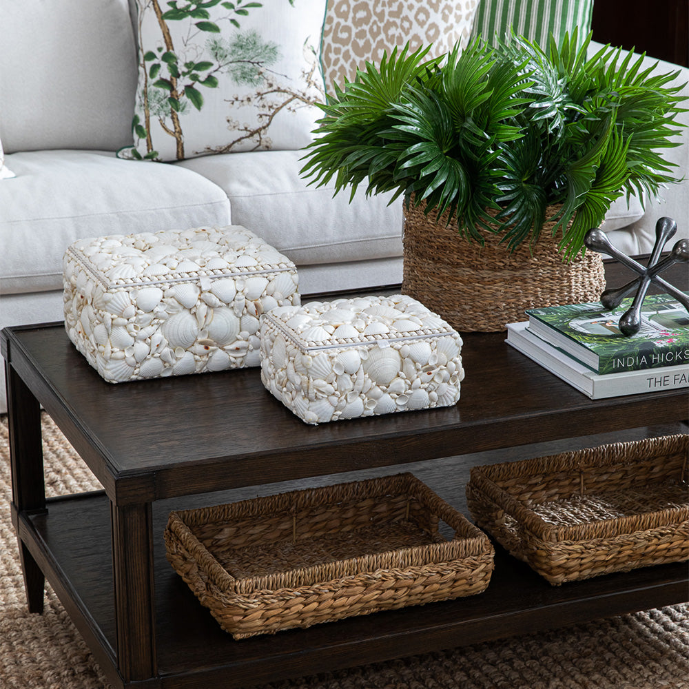 Decorative Shell Box - LRG