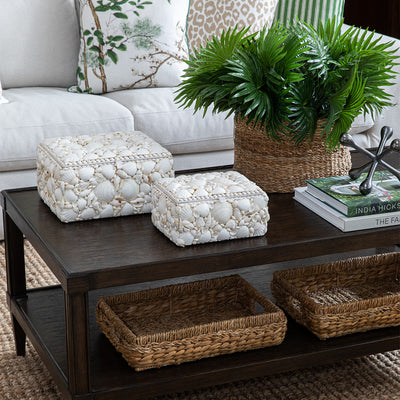 Decorative Shell Box - LRG
