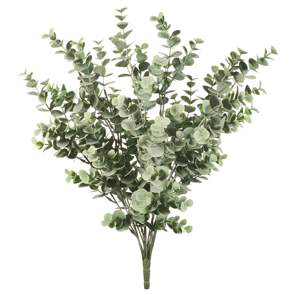 Eucalyptus Bush
