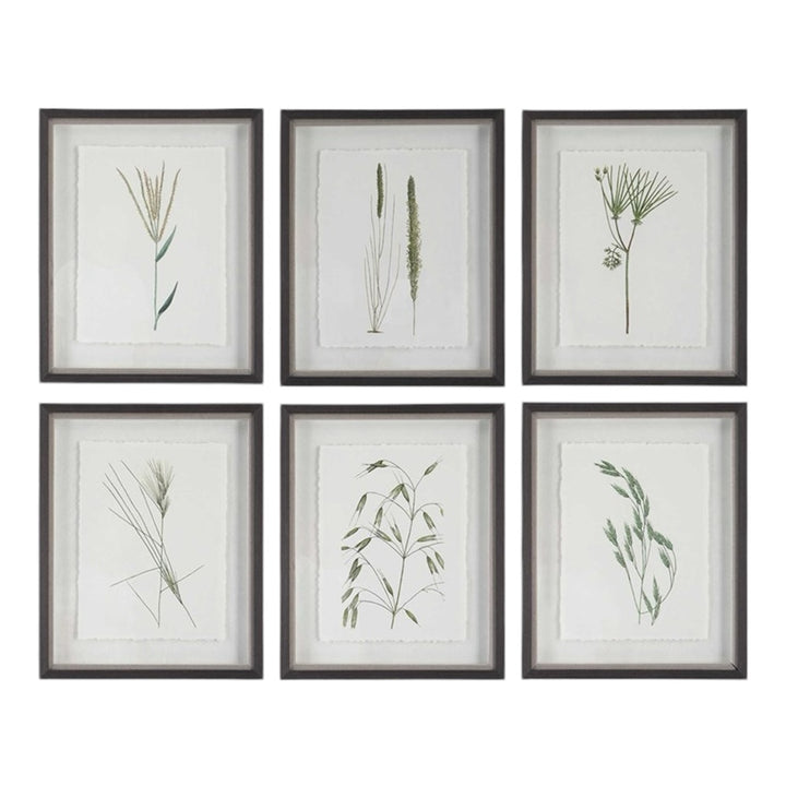 Forest Finds Framed Prints S/6
