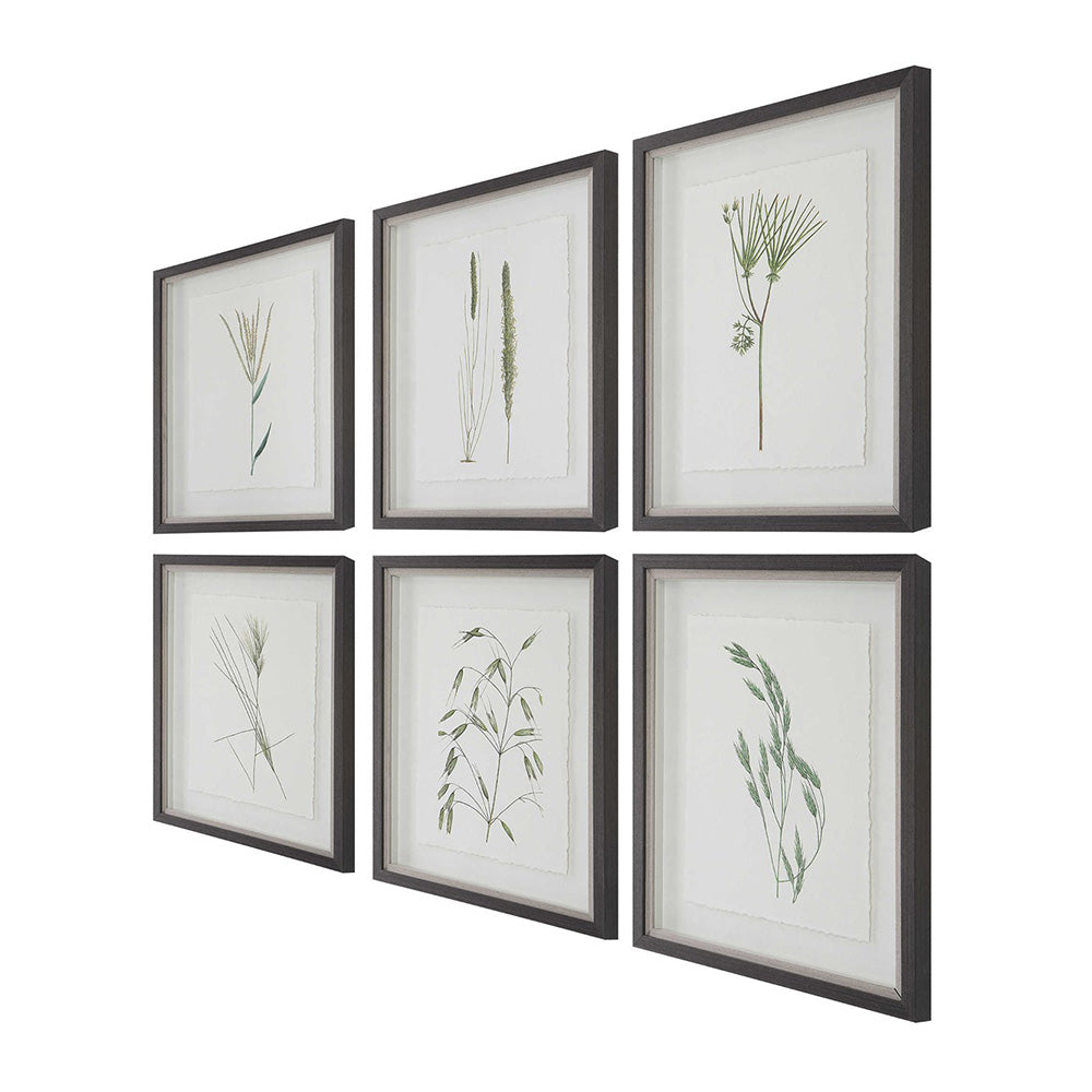 Forest Finds Framed Prints S/6