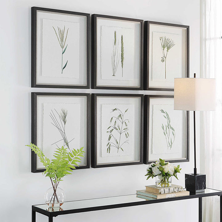 Forest Finds Framed Prints S/6
