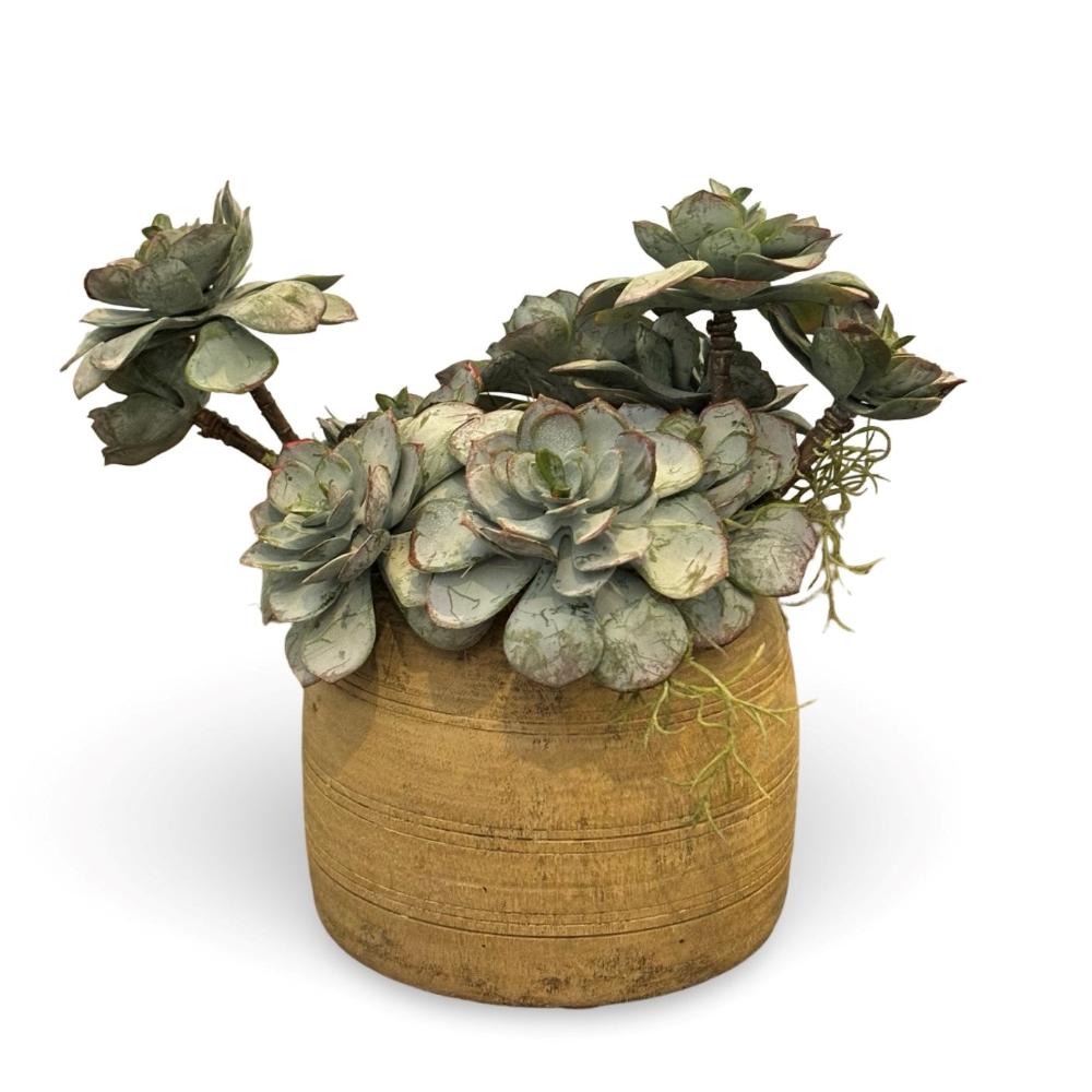 Faux Succulents in Timber Pot