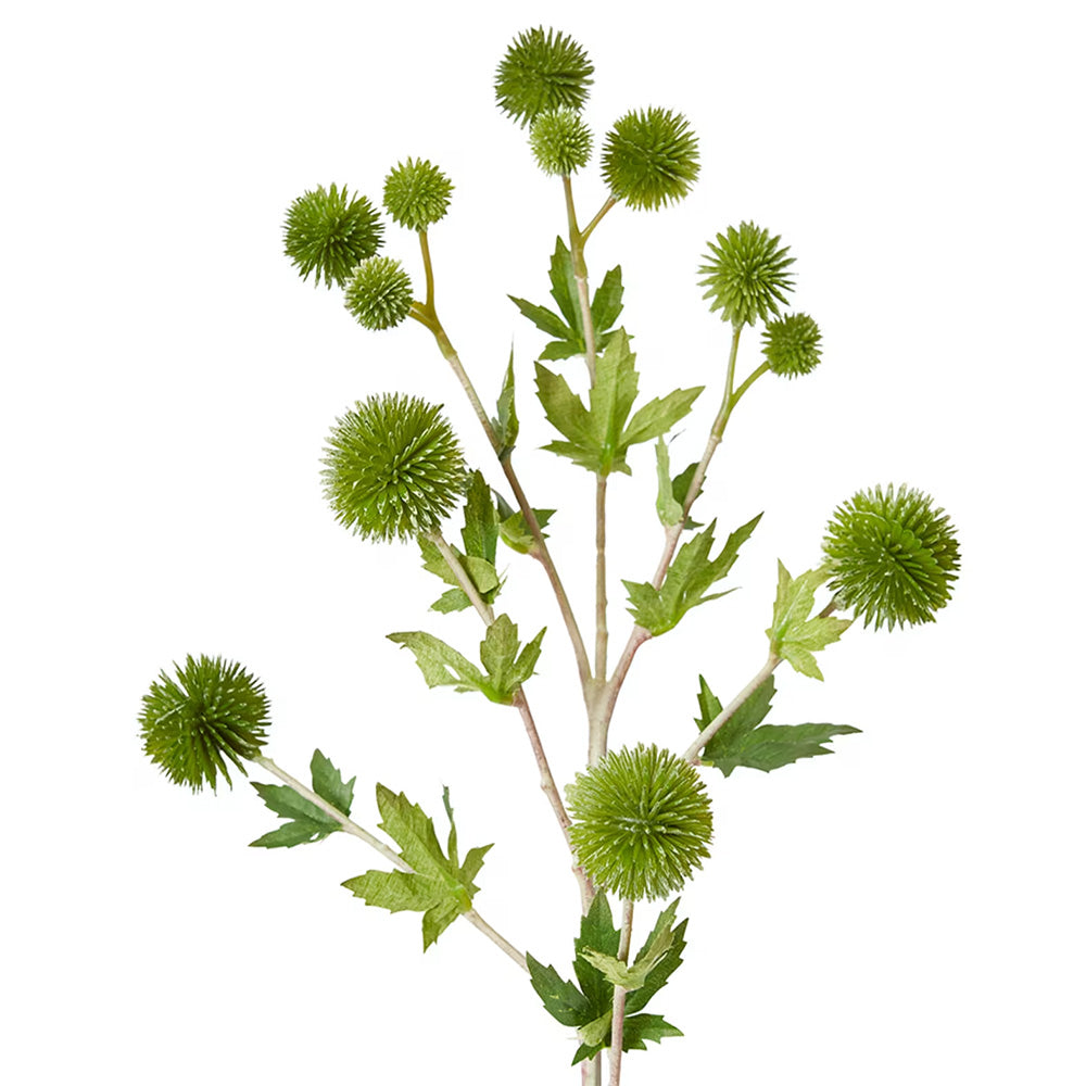 Green Thistle Spray