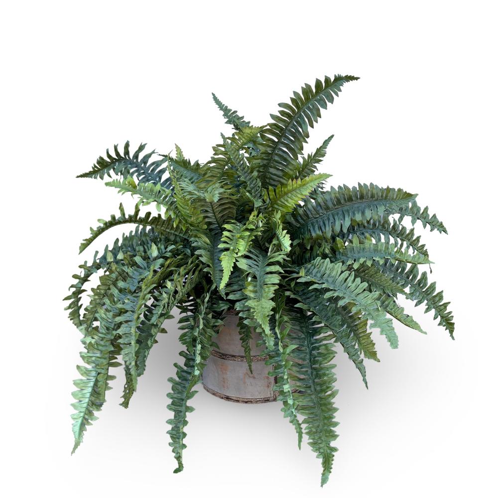 Faux Boston ferns in a painted timber vessel