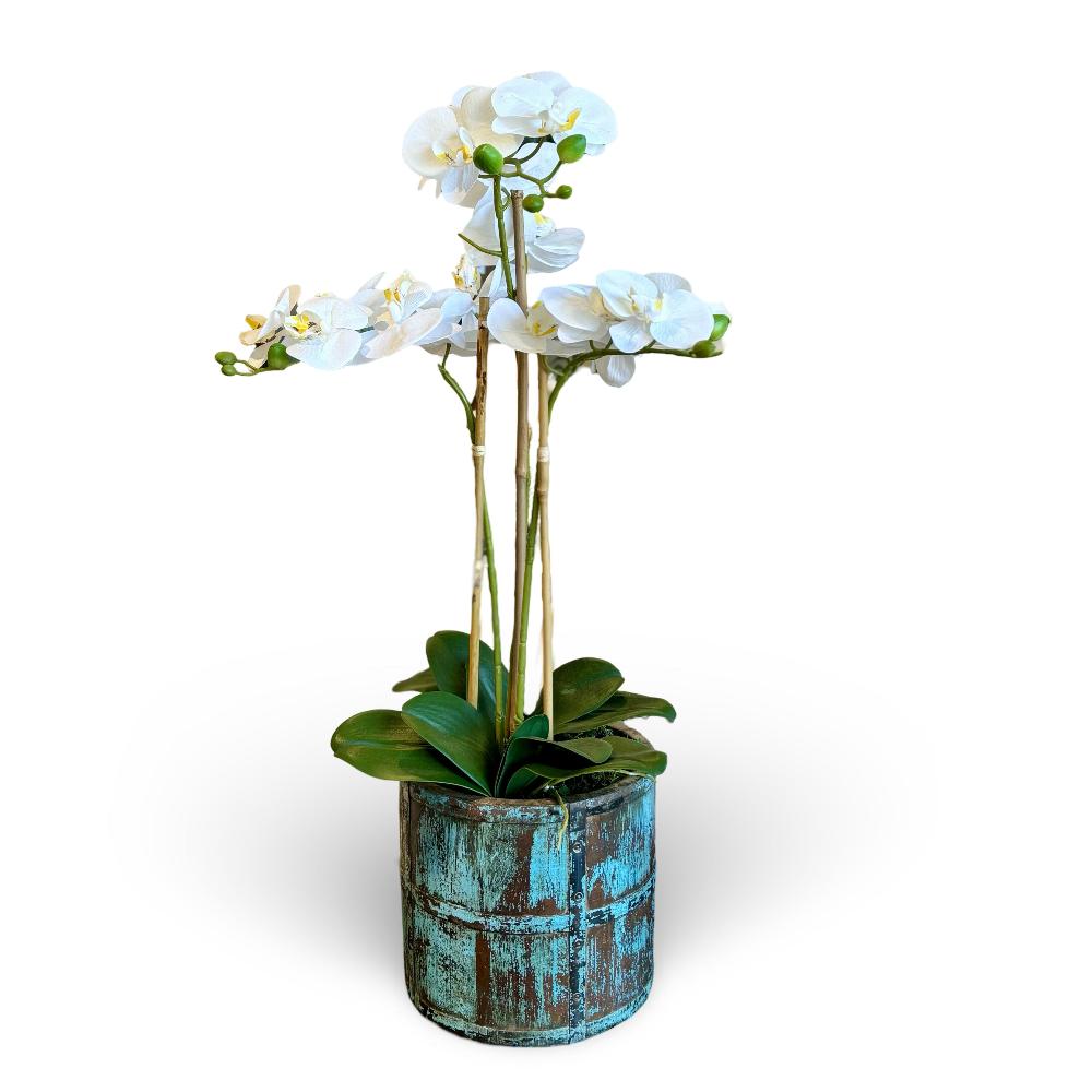 &nbsp;White Faux Phalaenopsis orchid plant designed into a blue wooden vessel