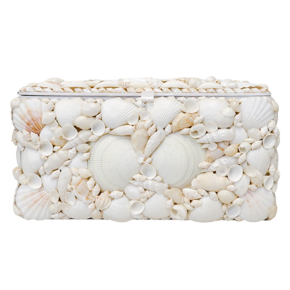 Decorative Shell Box - LRG