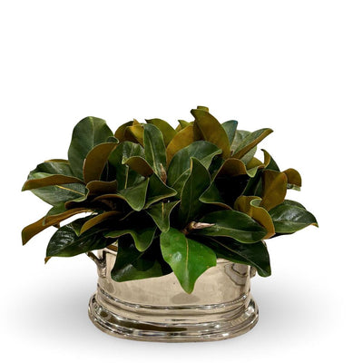 Magnolia In Oval Nickel Tub