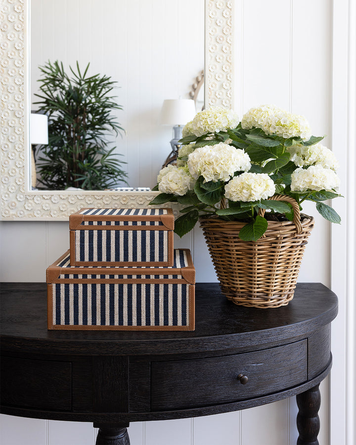 Oliver Navy Stripe Box