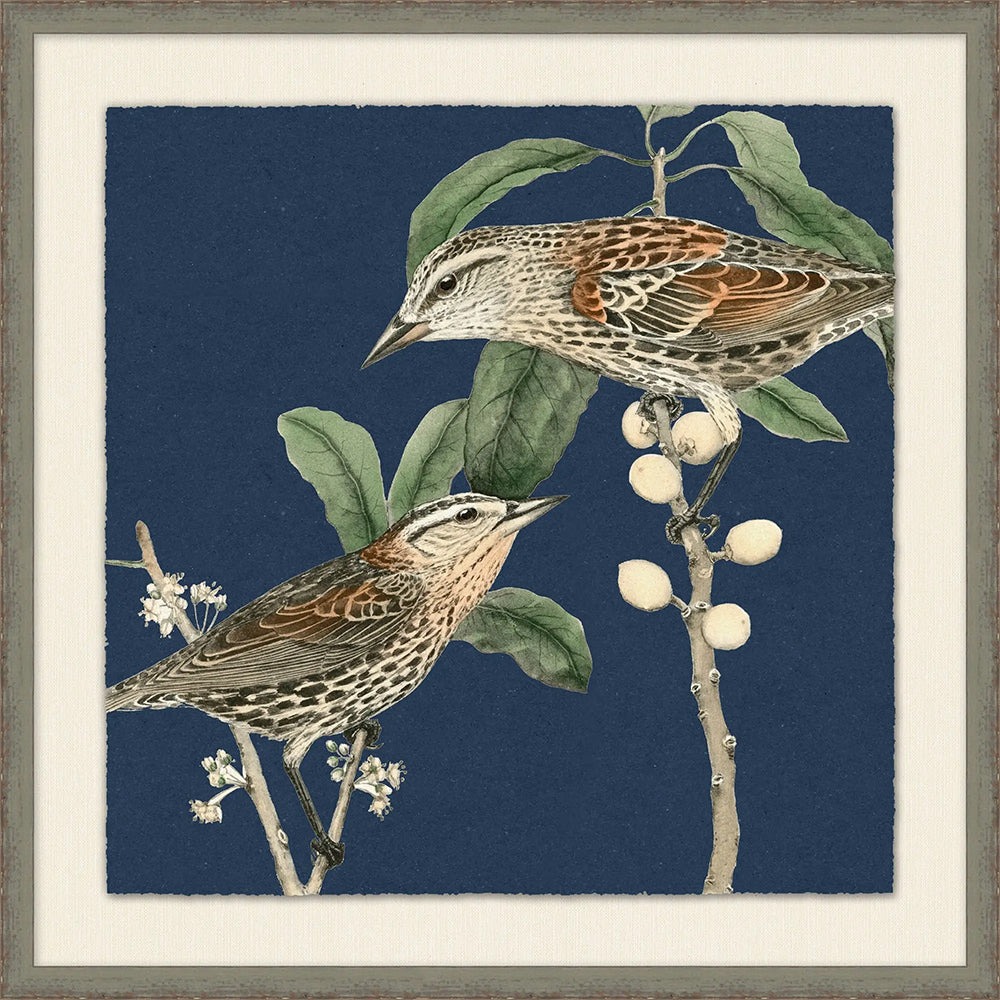 Two birds on branch with indigo blue background framed print.