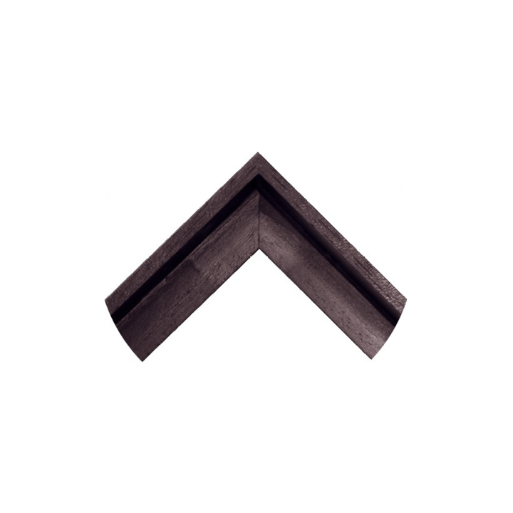 Polo Game in the Park