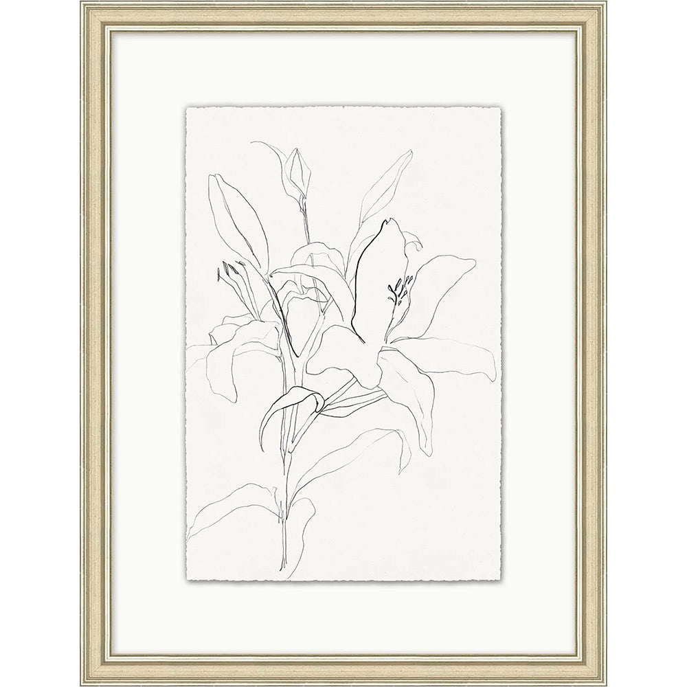 Sketched Floral 1