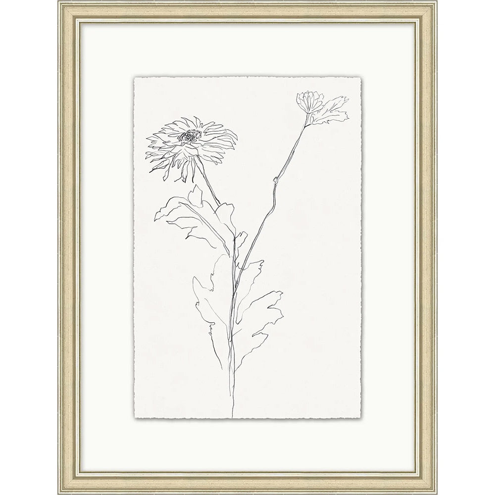 Sketched Floral 2