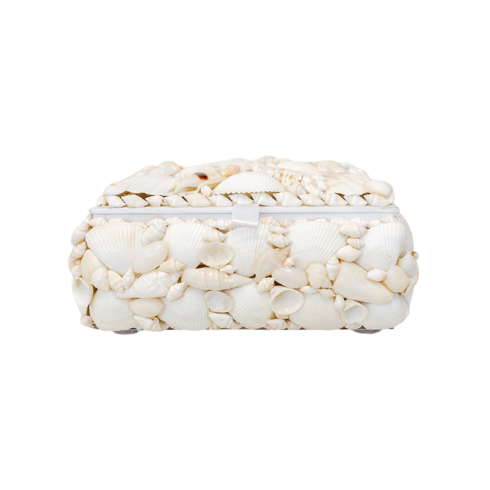 Decorative Shell Box - SML
