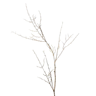 Twig Spray