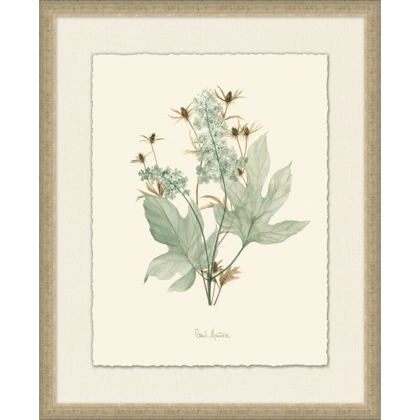 Nature Study 4 - Highgate House Online - Art