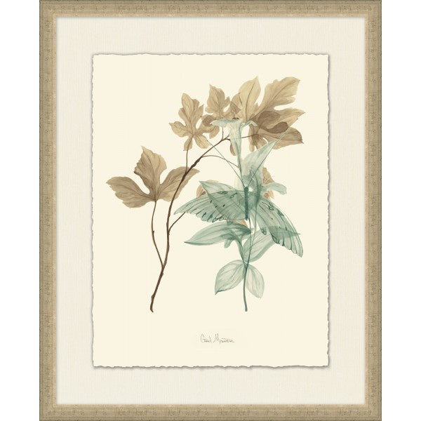 Nature Study 5 - Highgate House Online - Art