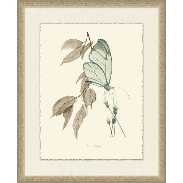 Nature Study 2 - Highgate House Online - Art