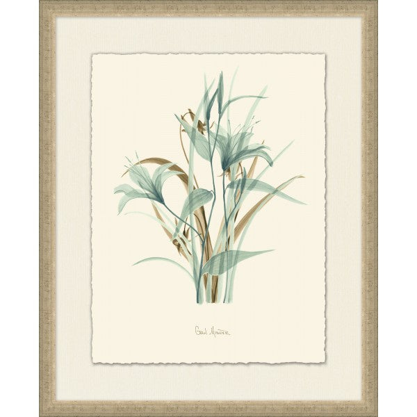 Nature Study 3 - Highgate House Online - Art