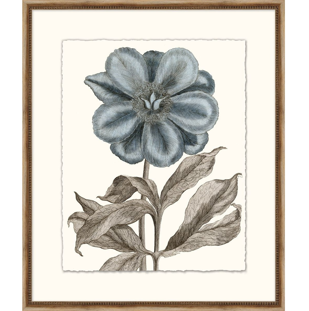 Pale Blue Botanical 6