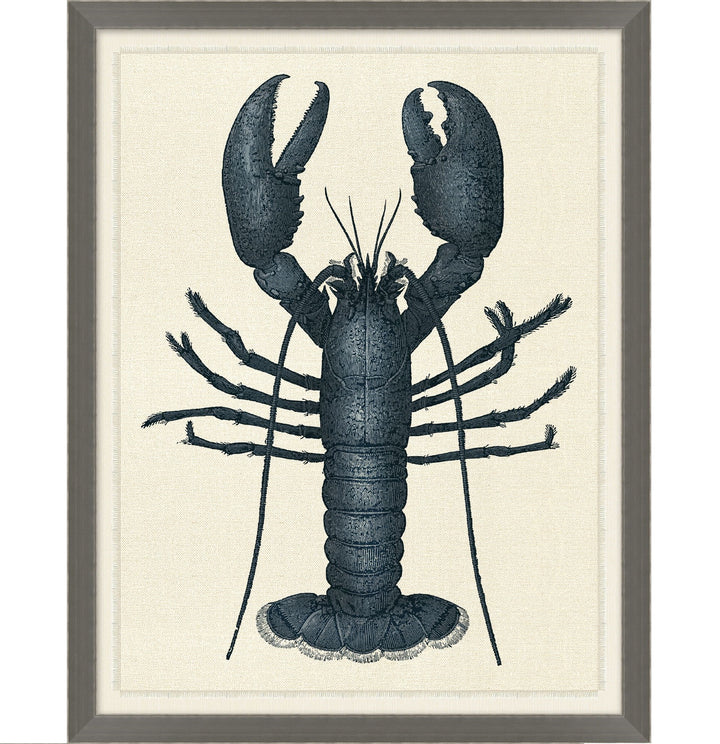 Blue Sea Life 1