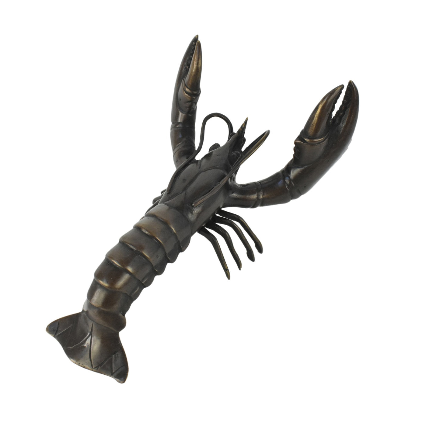 Small Bronze Lobster