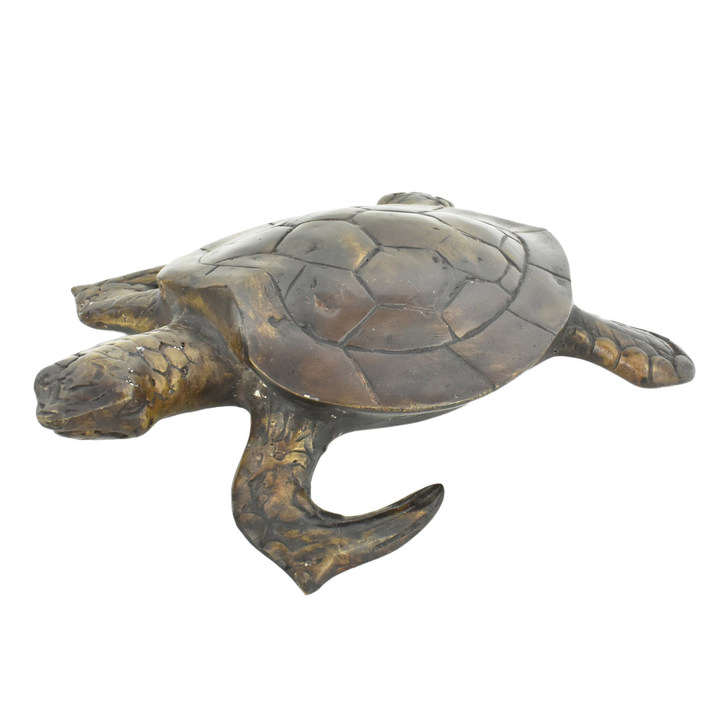 Bronze Turtle
