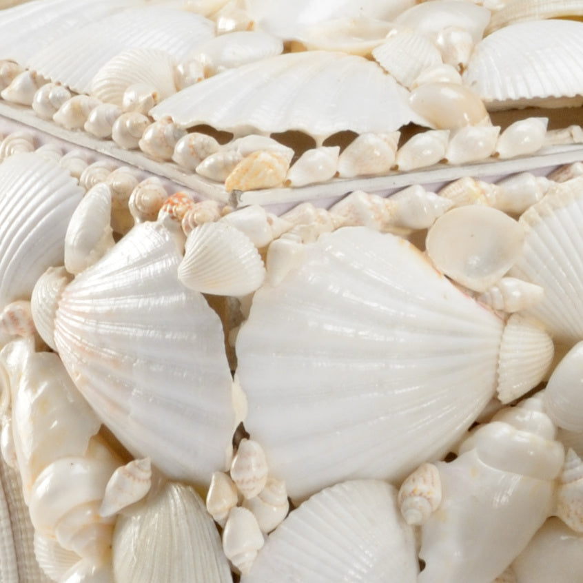 Decorative Shell Box - MED