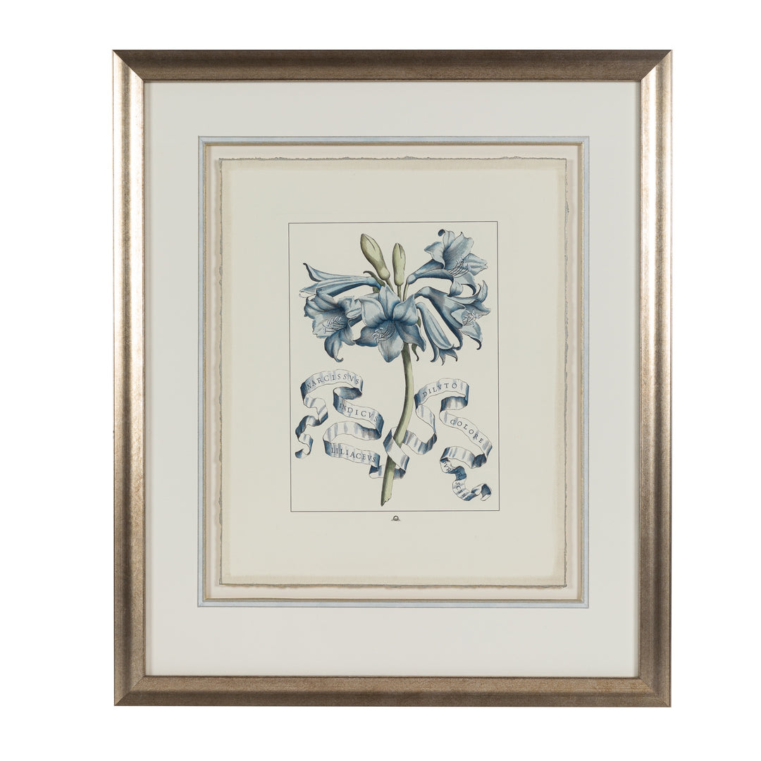 Soft Blue Floral Ribbon Lithograph 2